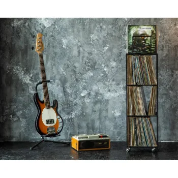 Metal Düzenleyici Plaklık Metal Plak Düzenleyici Organizer - Görsel 3