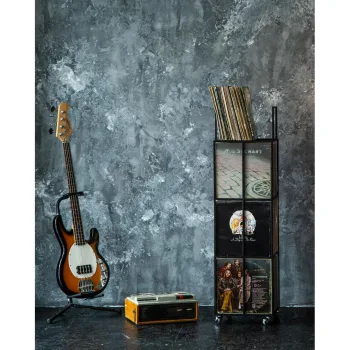 Metal Düzenleyici Plaklık Metal Plak Düzenleyici Organizer - Görsel 5